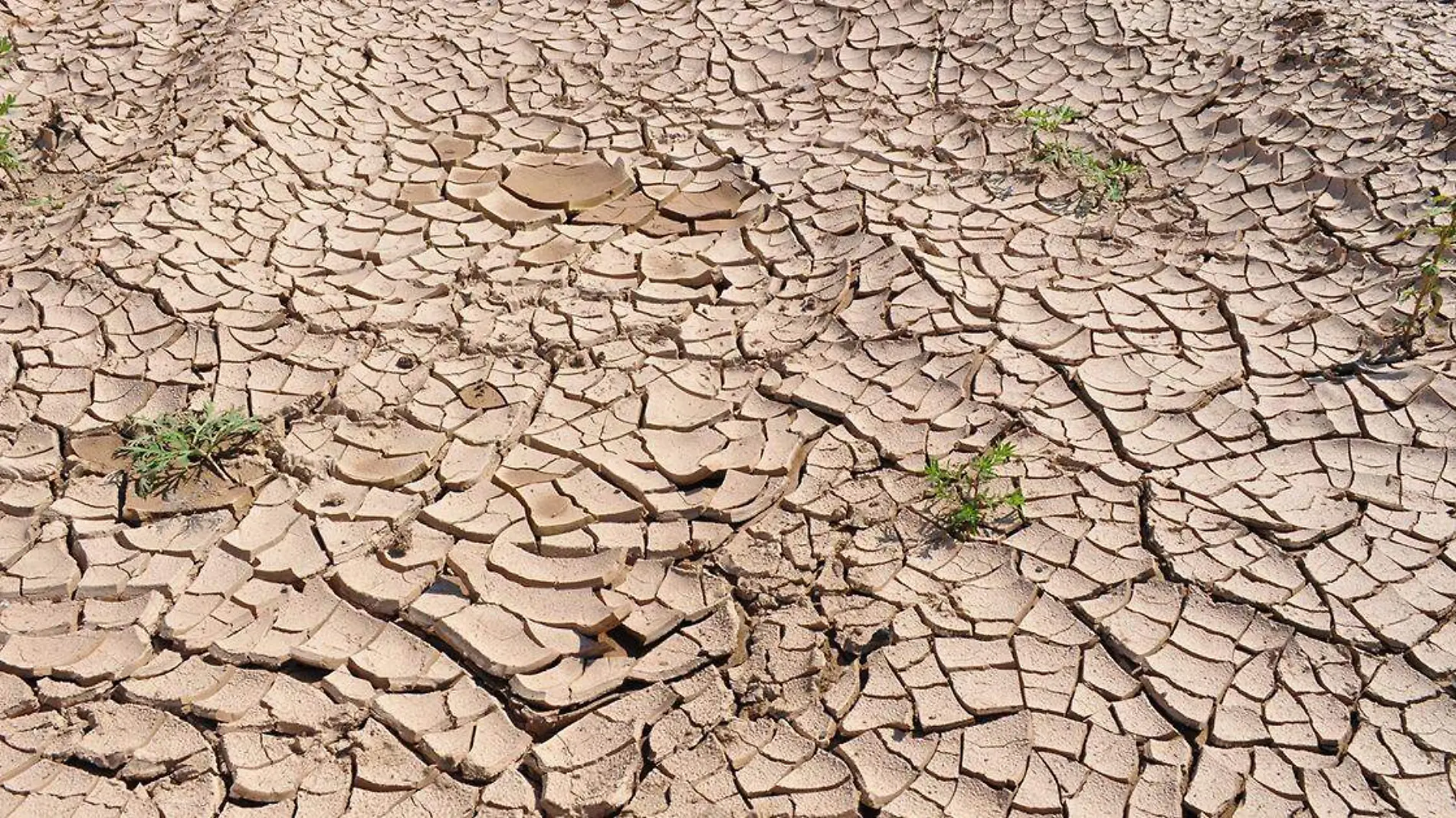 En los próximos 20 años, la temperatura mundial superará un calentamiento de 1.5 grados centígrados